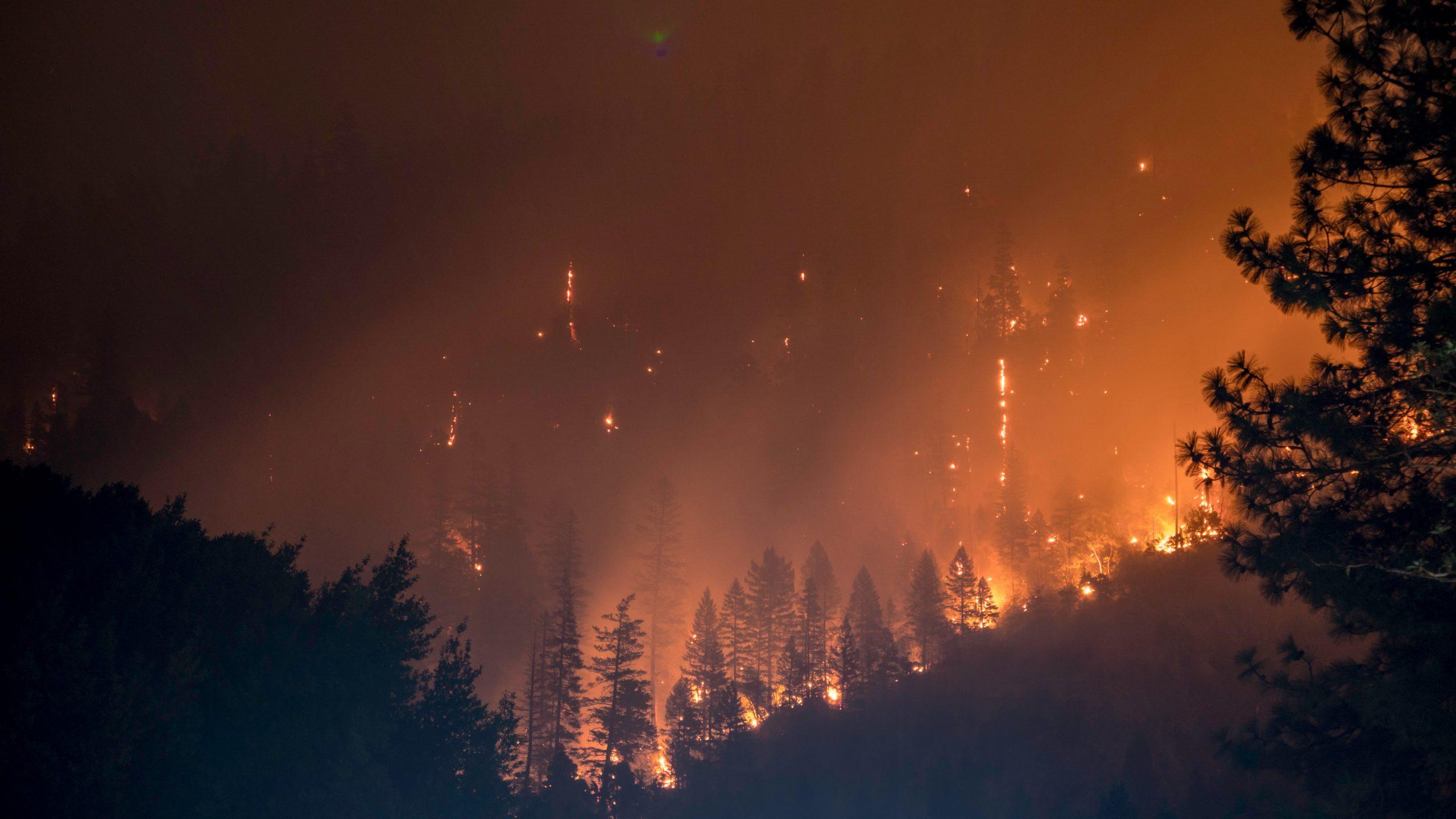 Να κρατήσουμε τα δάση ζωντανά από τις πυρκαγιές